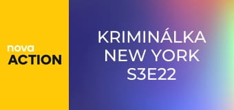 Kriminálka New York S3E22 - Mrazivý objev