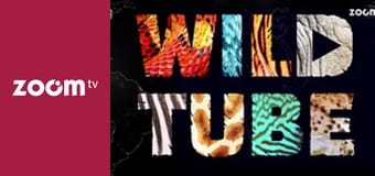 Dzika przyroda na żywo S1E10