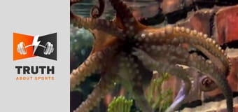 The 2016 European Championships