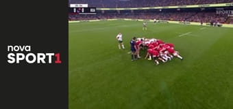 Ragby: Wales - Juhoafrická republika