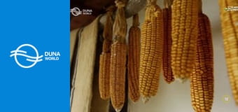 Erdei utakon - Reviczky Gáborral