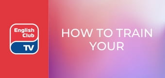 How to Train Your Dragon