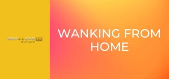 Wanking From Home