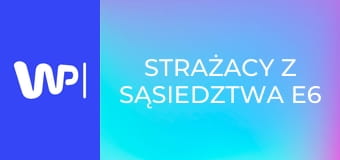 Strażacy z sąsiedztwa E6