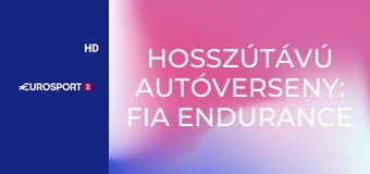 Hosszútávú autóverseny: FIA Endurance Világbajnokság, magazin