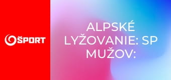 Alpské lyžovanie: SP mužov: Lillehammer