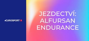 Jezdectví: Alfursan Endurance