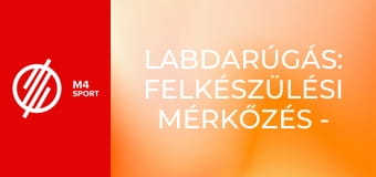 Labdarúgás: Felkészülési mérkőzés - Magyarország – Szlovénia mérkőzés
