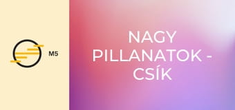 Nagy pillanatok - Csík János