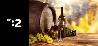 Vínne cesty Slovenska E20 - Tokajská vínna cesta II. (Malá Tŕňa, Viničky, Borša)