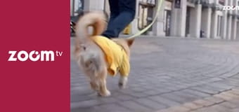 To leci w sieci S1E24