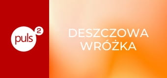 Deszczowa wróżka