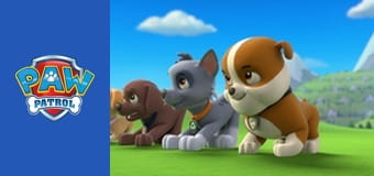 A Mancs őrjárat 1. évad 16. rész