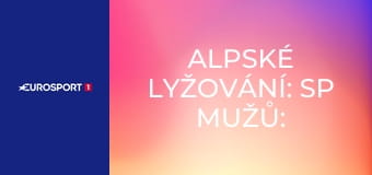 Alpské lyžování: SP mužů: Beaver Creek