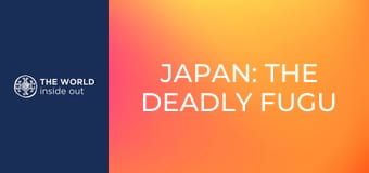 Japán: a halálos fugu gömbhal és a robotok városa.