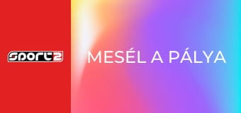 Mesél a pálya. Puskás Ferenc