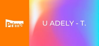 U Adely - T. Tománková, M. Adamczyk, T. S. Pšenička, M. Kocáb