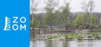 Hausbot Petra Horkého E4 - Freya Hoffmeisterová