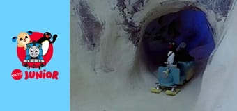 Pingu at the Wedding Party