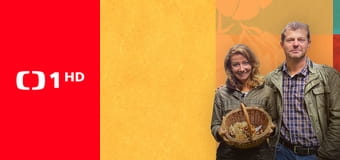 Co naše babičky uměly a na co my jsme zapomněli - Honza nese buchty