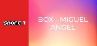 Box - Miguel Angel Cotto - Carlos Ramirez