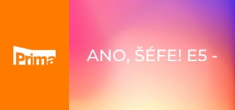 Ano, šéfe! E5 - Restaurace U Pavouka – Hořesedly