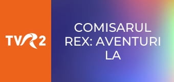 Comisarul Rex: aventuri la Viena E95