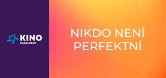 Nikdo není perfektní