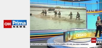 Prima ČESKO