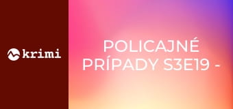 Policajné prípady S3E19 - Krádež benzínu, Rozchod, Opustený dom, Prepadnutá babička