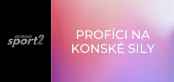 Profíci na konské sily