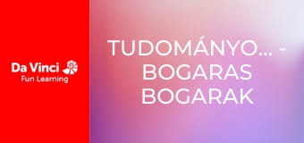 TudományosRobbanás - Bogaras bogarak TudományosRobbanás - Bogaras bogarak