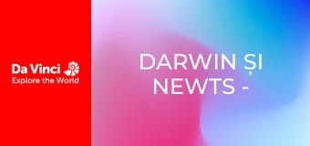 Darwin și Newts - Doamna Balenă