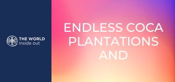 Nekonečné plantáže koky a opekané morské prasiatko na špíze. Bolívia.