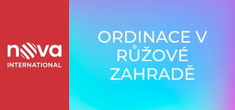 Ordinace v růžové zahradě 2 S2E168 - Mně lhát nemusíš