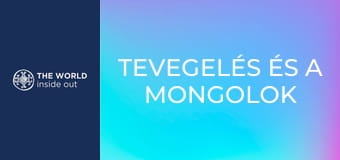 Tevegelés és a mongolok titka – hogyan élik túl a hideget? Kína.