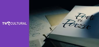 Poet şi poezie Poet şi poezie