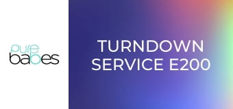 Turndown Service E200