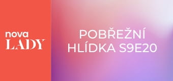 Pobřežní hlídka S9E20