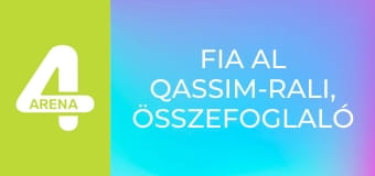 FIA Al Qassim-rali, összefoglaló