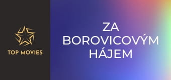 Za borovicovým hájem