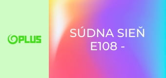 Súdna sieň E108 - Nezvládaš deti