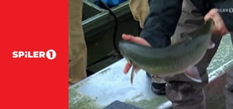 Alaszka legvagányabb bozótpilótái S2E7