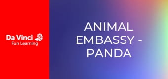 Animal Embassy - Panda and Macaw