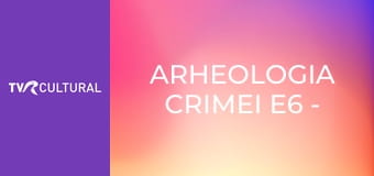 Arheologia crimei E6 - Lichidarea urmelor după bătălia de pe Muntele Mare