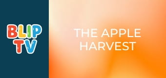 The apple harvest The apple harvest