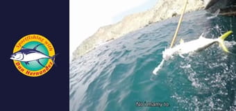 Californian, part 1 Californian, part 1