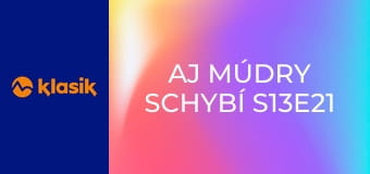 Aj múdry schybí S13E21