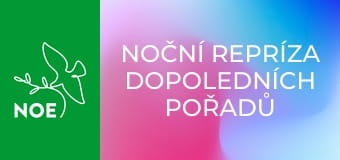 Noční repríza dopoledních pořadů