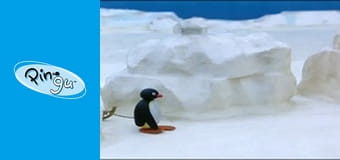 The Pingu Show Sezon 1 Odcinek 40